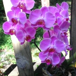 Meet your Posher, Doreen